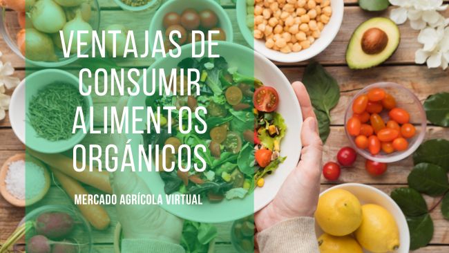 Las ventajas de consumir alimentos organicos en la actualidad
